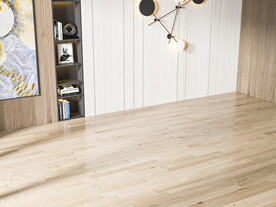 现代客厅场景 家具场景