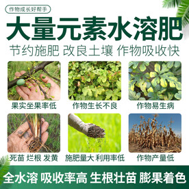 大量元素水溶肥电商主图