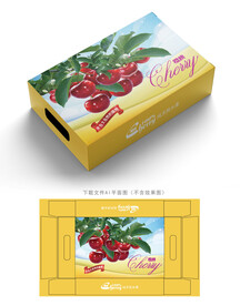 樱桃包装 