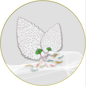 晶瓷画 羽毛 鱼