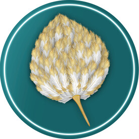 晶瓷画抽象画羽毛扇子