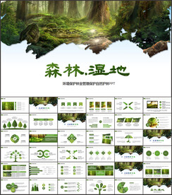 环保森林湿地环境保护生态PPT