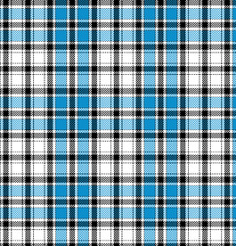  蓝格子   
