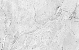 熊猫白大理石背景墙