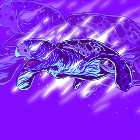 海龟海报  战队 LOGO 