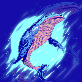 鲸鱼海报 动物 LOGO 