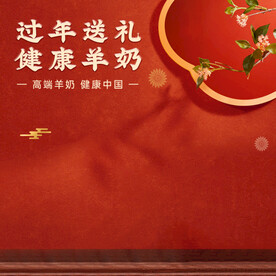 红色新年年货节春节主图模板