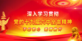 十九