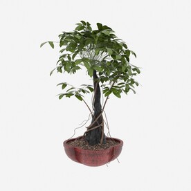 落地盆栽模型