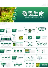 植物生长敬畏生命PPT