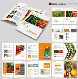 水果产品画册