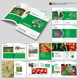  绿色食品画册