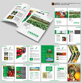 水果产品画册