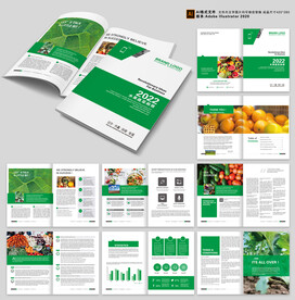  绿色食品画册