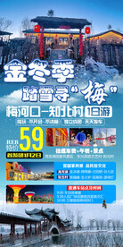 吉林梅河口金冬季踏雪寻梅