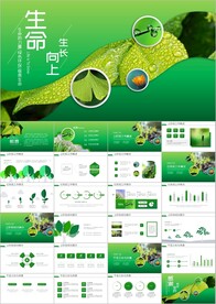 绿色植物发芽植物生长敬畏ppt