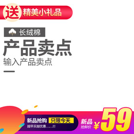 淘宝主图