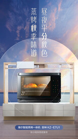 电烤箱海报