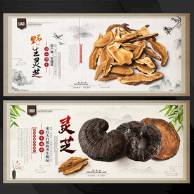 灵芝海报