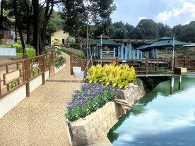 花境景观设计效果图