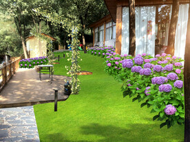 花境景观设计效果图