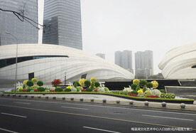 花坛花境景观设计效果图