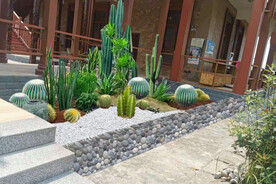 日式植物景观改造