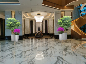 绿植租摆设计效果图