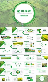 水稻农田绿洲大米PPT模板农业