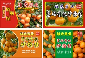 砂糖桔标签