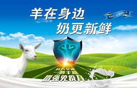 羊奶海报