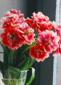 50X70厘数字油画装饰画素材