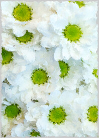 50X70厘数字油画装饰画素材