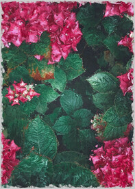 50X70厘数字油画装饰画素材