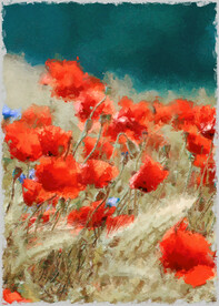 50X70厘数字油画装饰画素材