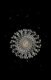 古典轻奢伊斯兰装饰纹饰