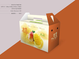 芒果箱 平面图