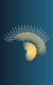 新中式丝滑线条