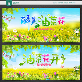 油菜花海报