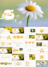 心理健康咨询管理ppt