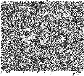 肌理 时尚 随机底纹纹样