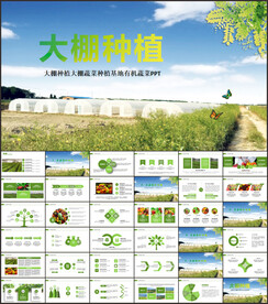 大棚种植PPT