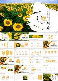 心理疏导呵护心里健康ppt 