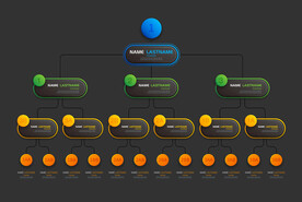 公司组织结构图