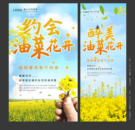 油菜花