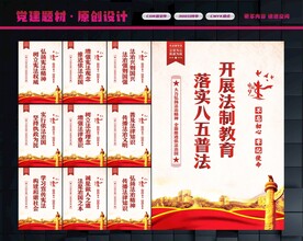 八五普法