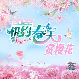 相约春天赏樱花微博头图