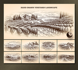 矢量手绘葡萄农庄系列