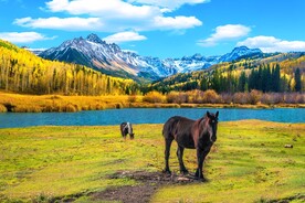 雪山下的河流草原