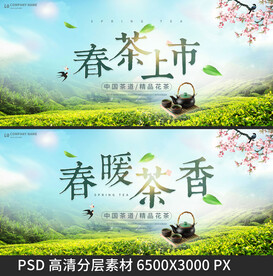 春茶上市